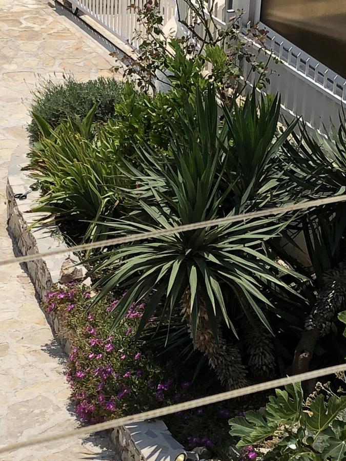Apartmani Zvijezda Rogoznica (Sibenik-Knin) Eksteriør billede